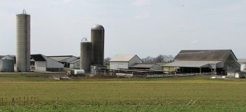 LF20210522-Nissley3-4.jpg